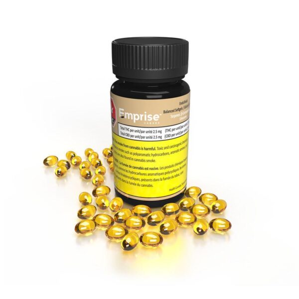 EndoShield Balanced THC:CBD Softgels