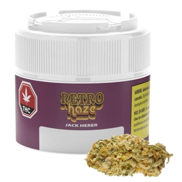 Jack Herer - Image 3
