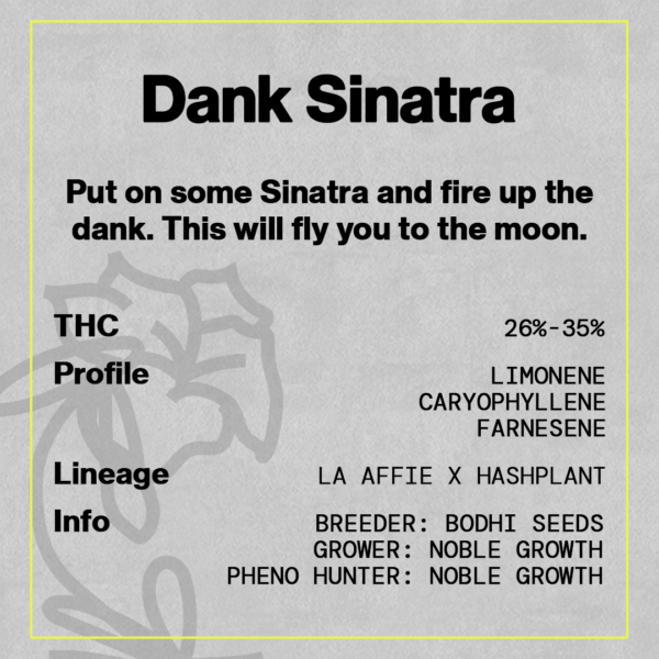 Dank Sinatra - Image 3