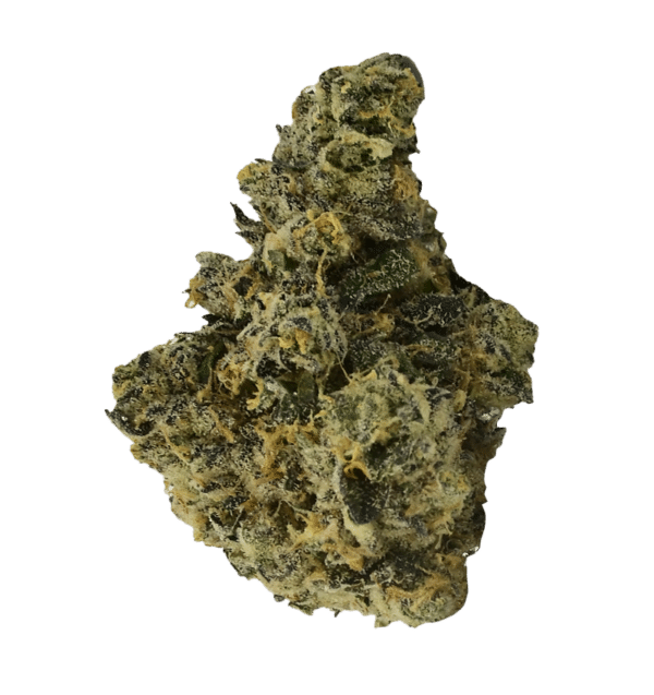 Dank Sinatra