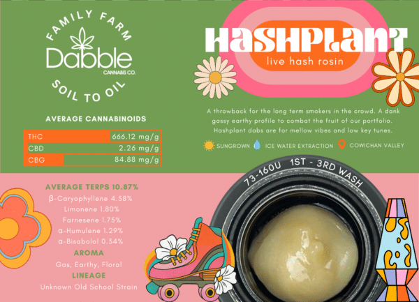 Hashplant Live Rosin - Image 4