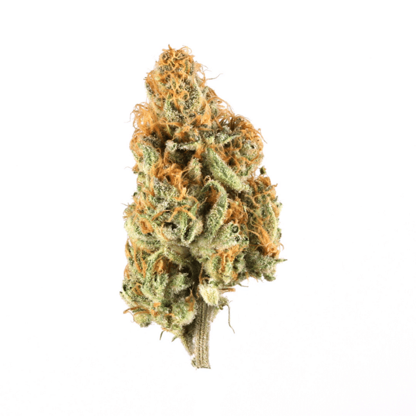 Lemon Haze