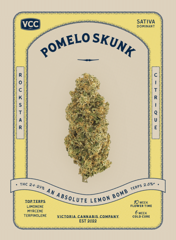 Pomelo Skunk - Image 2