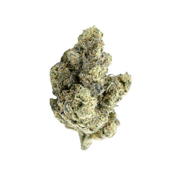 Blue R.I.T.Z - Image 3