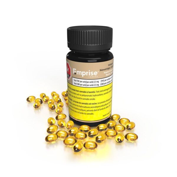 EndoSuppport Gélules THC:CBD Balancé