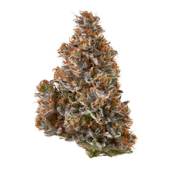 Early Lemon Berry - Image 2