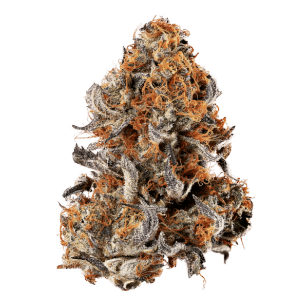 Gelato Mint Pre-Rolls - Image 3