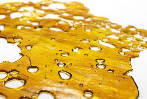 Black Cherry Punch Shatter - Image 2