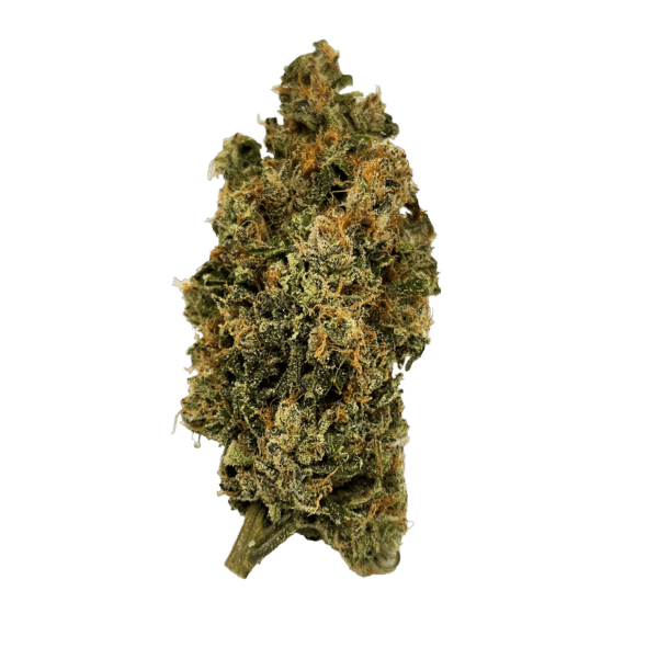 Cement Shoes (Animals Cookies x OGKB x Wet Dream)