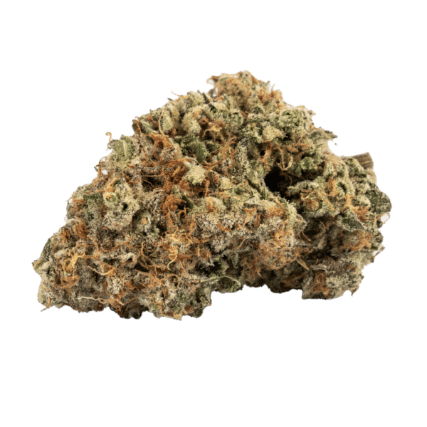 Cement Shoes (Animals Cookies x OGKB x Wet Dream) - Image 2