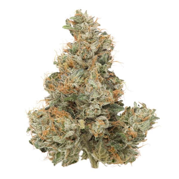 BC Organic Pemberton Pink