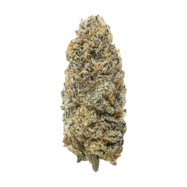 Cactus Breath
