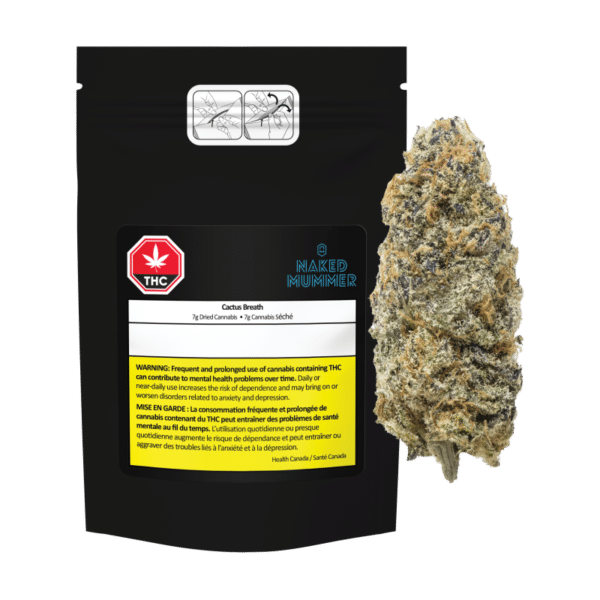 Cactus Breath - Image 2
