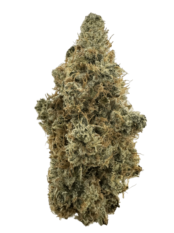 Dirty Taxi (GMO X Chem I95) Pre-Rolls - Image 2