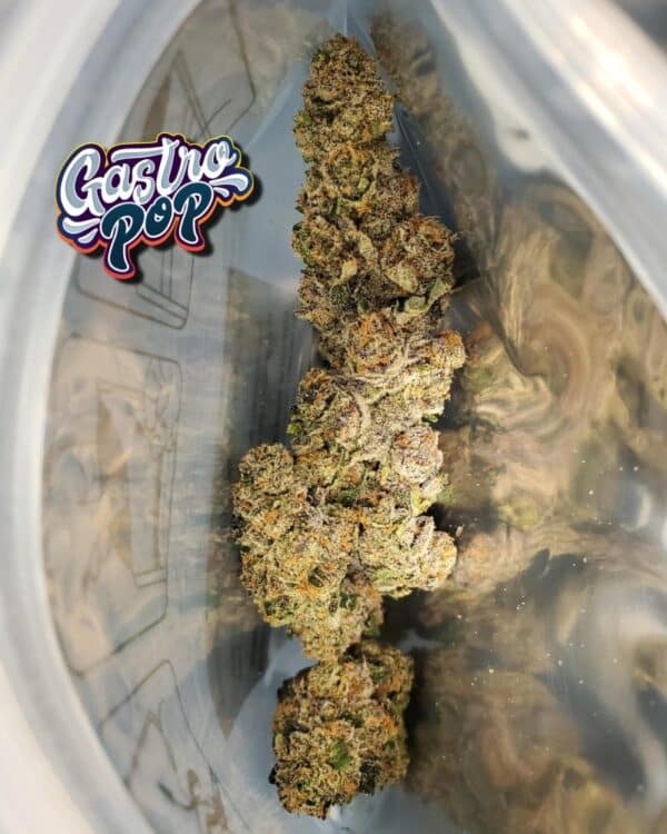 Gastro Pop (Apples & Bananas x Grape Gas) - Image 5