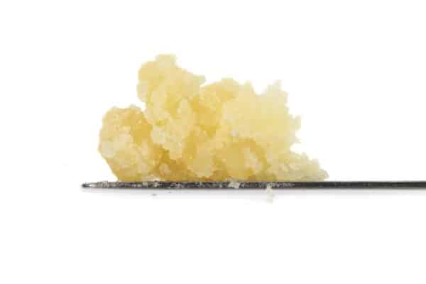 Hawaiian Snow Sativa HCFSE