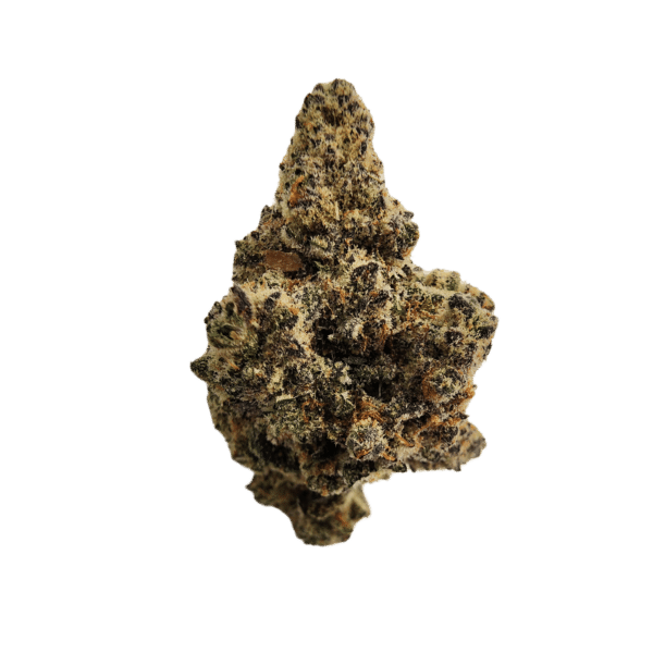 Mendo Select – Jealousy