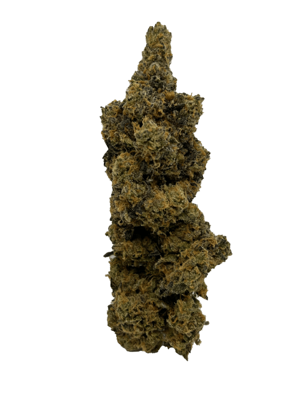 Regal Craft – (Jealousy x Banana Cream Cake)