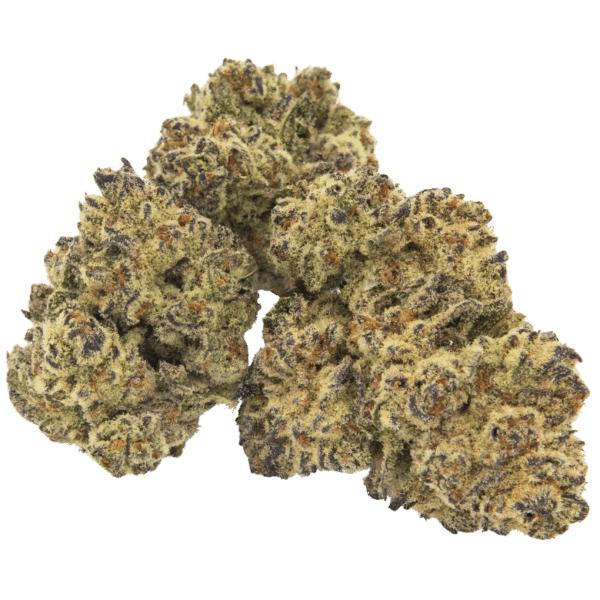 London Pound Mints x Jealousy