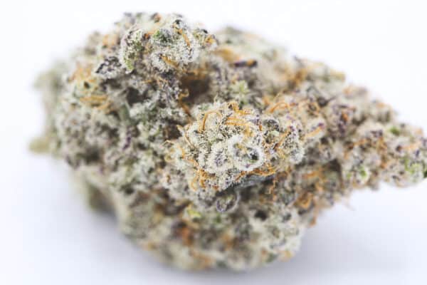 MAC-1 (Miracle Alien Cookies) - Image 2