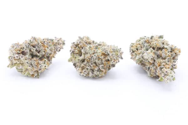 MAC-1 (Miracle Alien Cookies) - Image 4