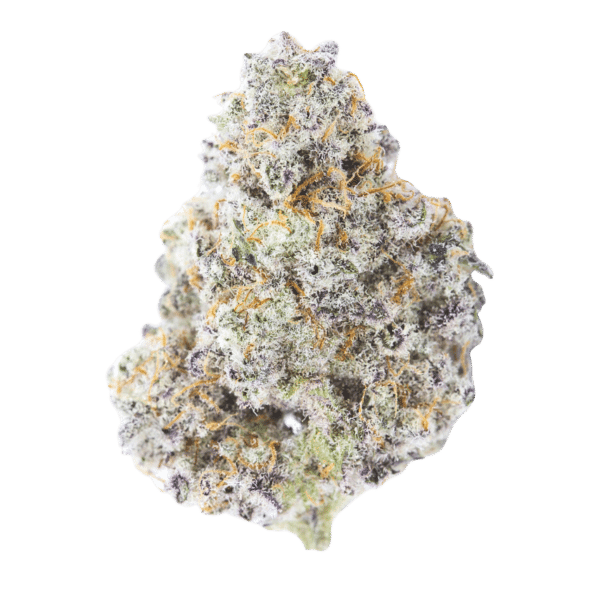 MAC-1 (Miracle Alien Cookies)