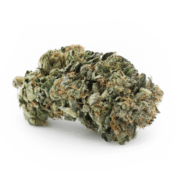 Maji Salty Pink Kush