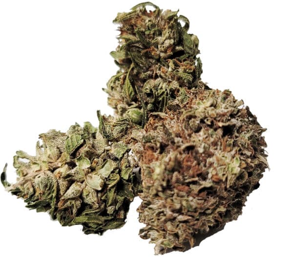 Panakeia Pure CBG Flower