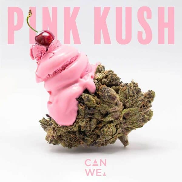 TF Pink Kush
