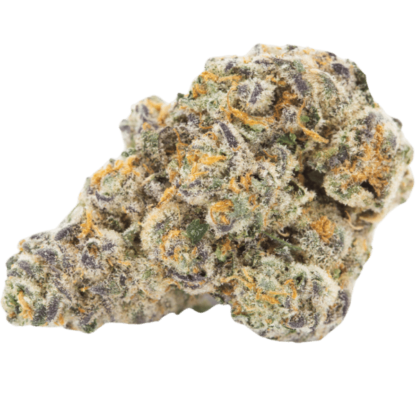 Slurty3 (Slurricane X Gelato 33)