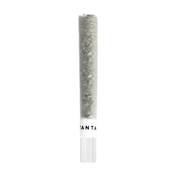 Horchata ULTRAMAX Pré-roulé avec embout de verre infusé de Diamants