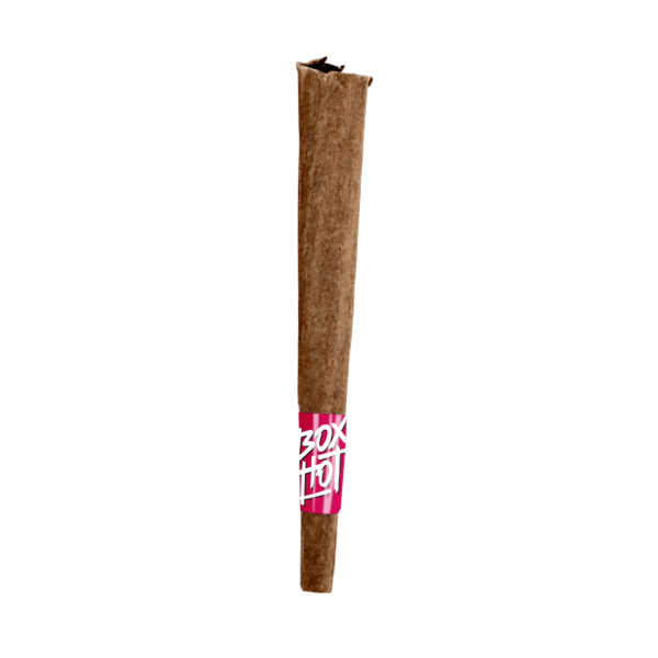 Cherry Kush Infused Blunt