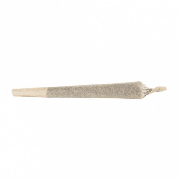 SoFly (Gorilla Zkittlez) Infused Pre-Roll