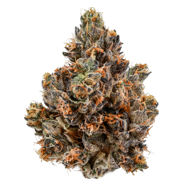 Polar Blaze