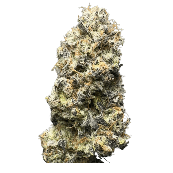 Mendo Select – Sour Orange Diesel - Image 4