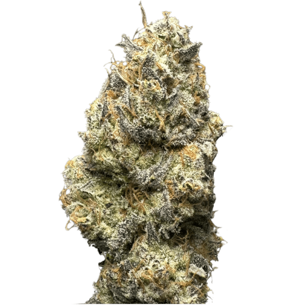 Mendo Select – Sour Orange Diesel - Image 6