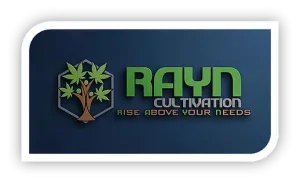 RAYN Logo